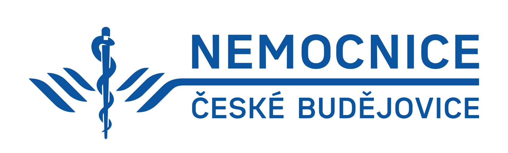 logo vystavovatele Nemocnice České Budějovice, a.s.
